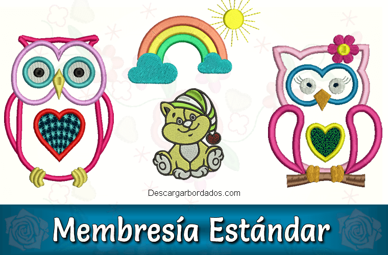 Membresía Estándar